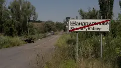 шандриголове