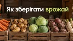 як зберігати врожай