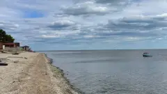 узбережжя Приморського біля Маріуполя