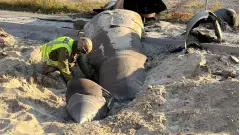 ракета київ