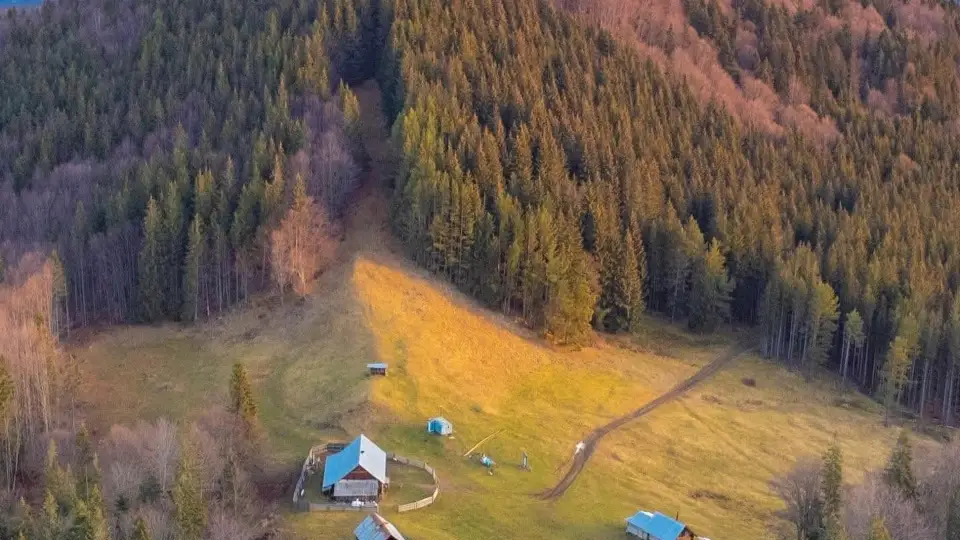 Карпати