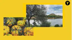 осінь, окупований донецьк, гарбузи, місто, донбас, терикон